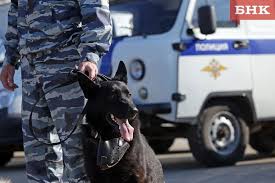полицейский с собакой